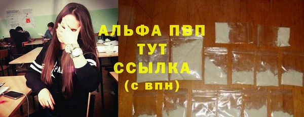 apvp Алексин