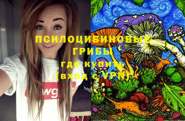 не бодяженный Алзамай