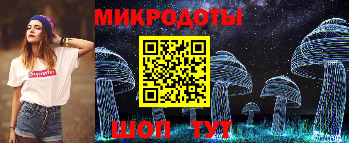 Галлюциногенные грибы Psilocybe  Вход с VPN  Красноуфимск 