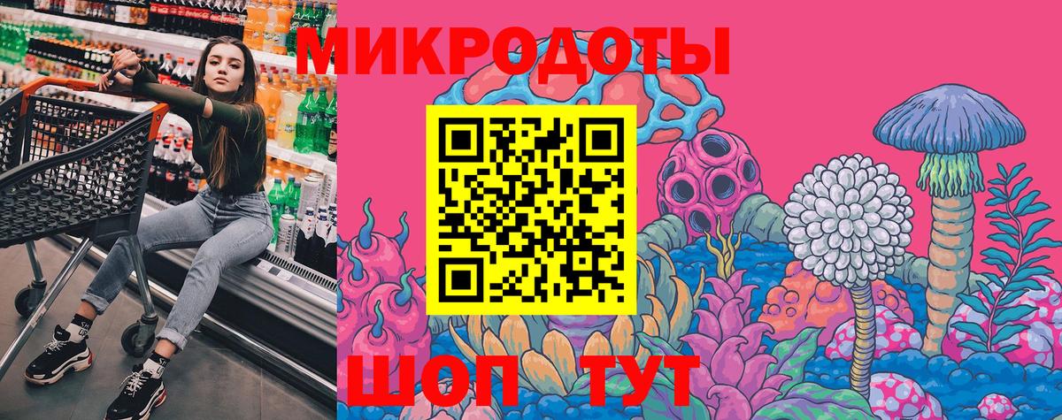 Галлюциногенные грибы Psilocybe Красноуфимск